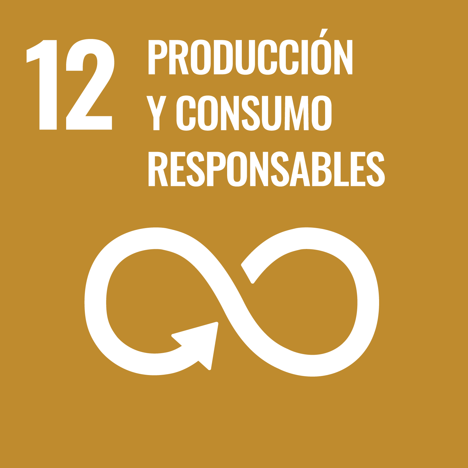 Imagen de ODS 12