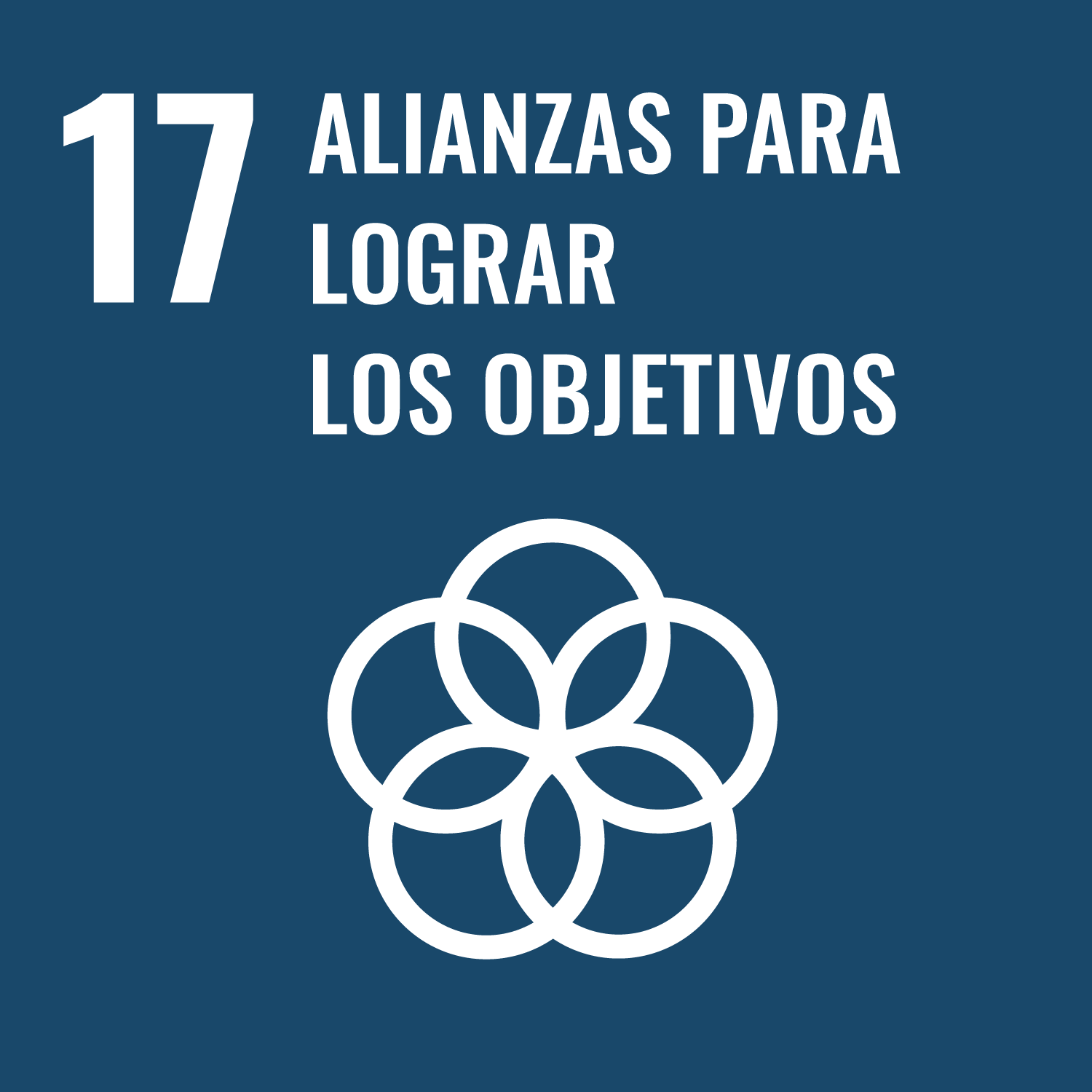 Imagen de ODS 17