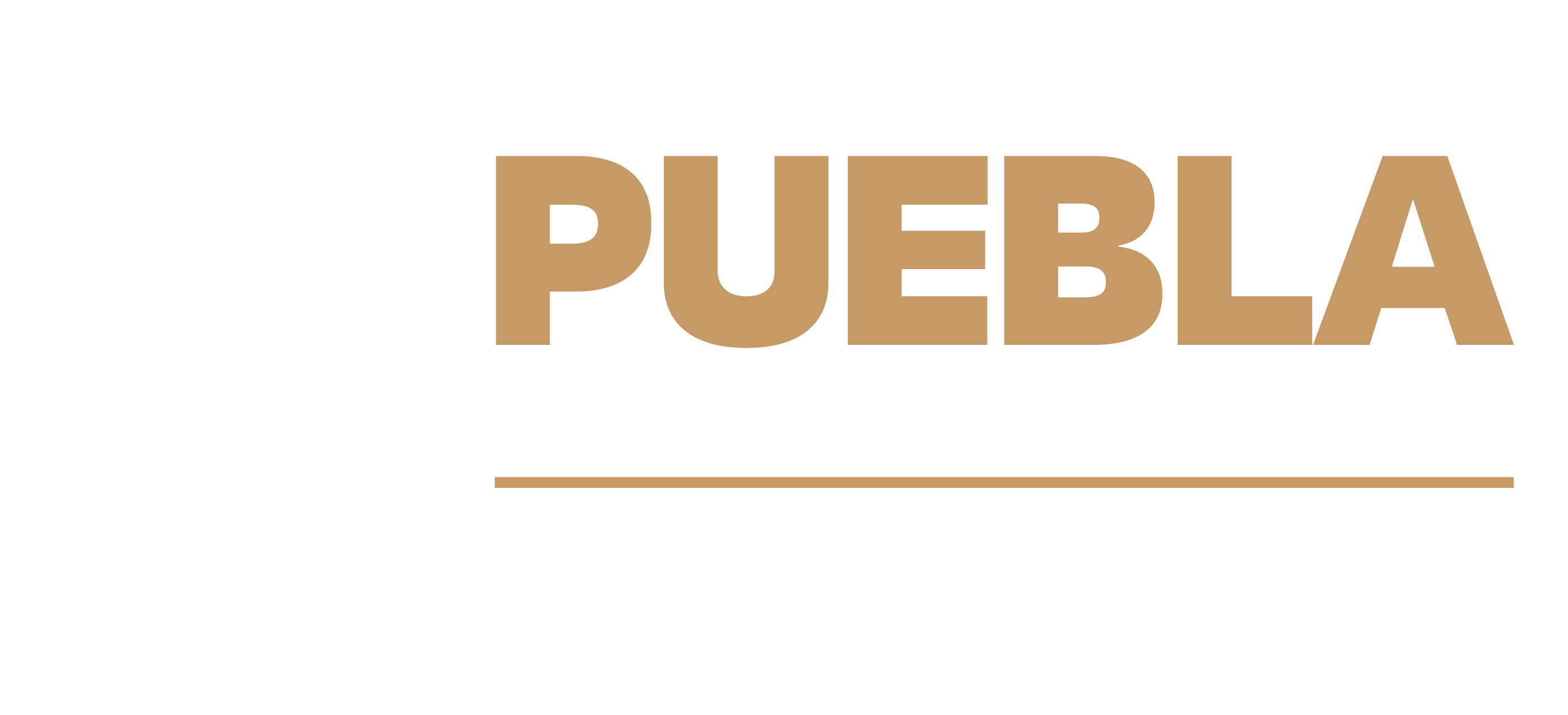 Logo en color guinda y gris de la Secretaría de Planeación y Finanzas
