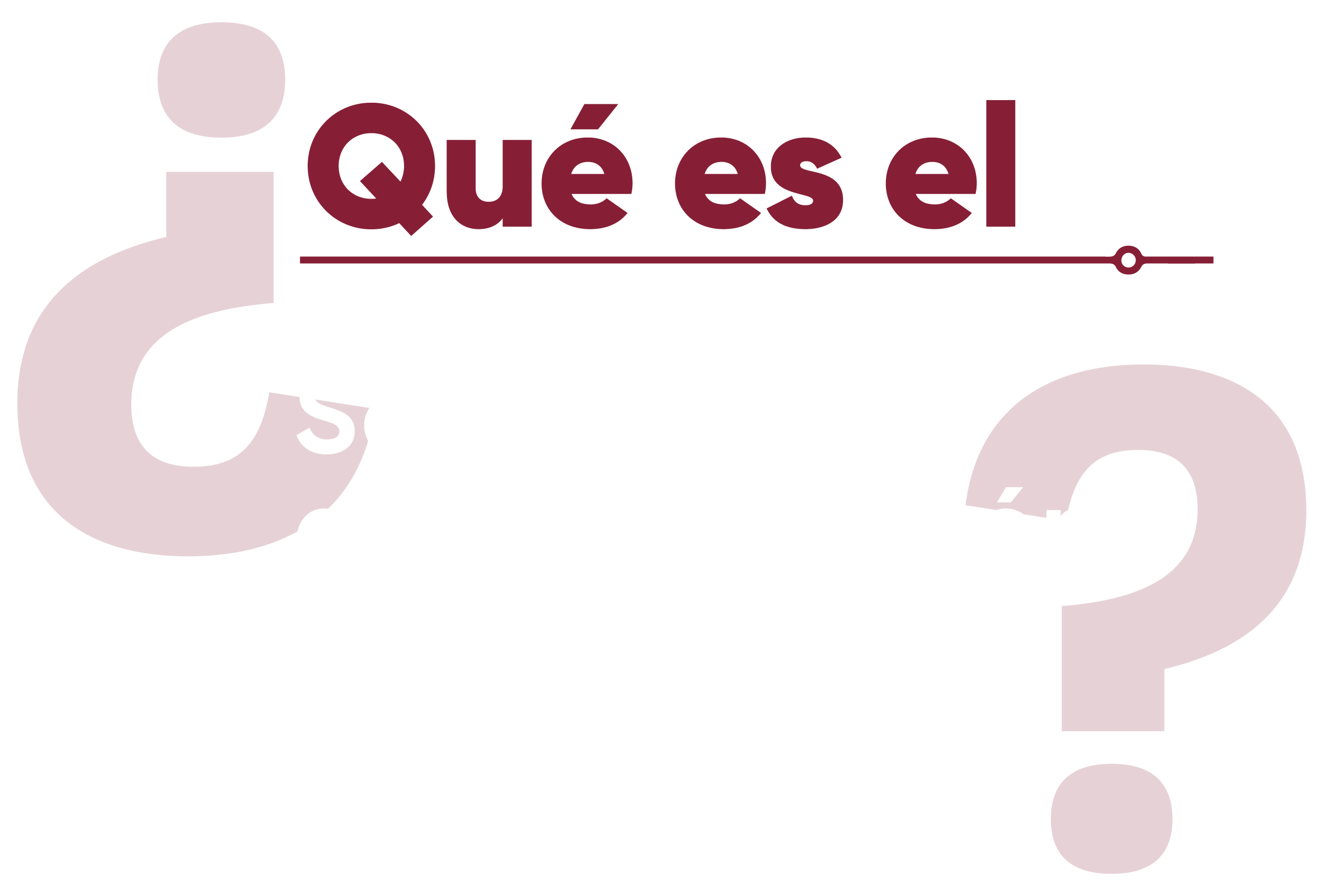 Panel izquierdo con diseño gráfico que indica 'Qué es el Sistema de Información para el Seguimiento a la Planeación y Evaluación del Desarrollo'